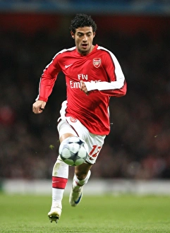 Arsenal V Dynamo Kyiv 2008-9 Prints: Carlo Vela Scores the Winner: Arsenal 1-0 Dynamo Kyiv