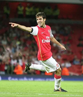 Ces Fabregas celebrates scoring the 2nd Arsenal goal