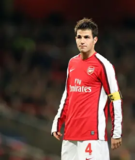 Arsenal V Dynamo Kyiv 2008-9 Prints: Cesc Fabregas: Architect of Arsenal's 1-0 UEFA Champions League Triumph over Dynamo Kiev (November 25)