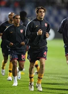 Dynamo Kiev v Arsenal 2008-09 Gallery: Cesc Fabregas (Arsenal)