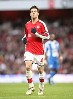 Images Dated 6th December 2008: Cesc Fabregas (Arsenal)