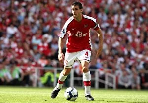 Arsenal v Portsmouth 2009-10 Collection: Cesc Fabregas (Arsenal)