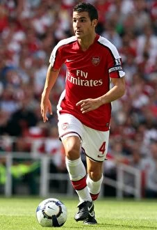 Arsenal v Portsmouth 2009-10 Collection: Cesc Fabregas (Arsenal)