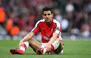 Images Dated 17th October 2009: Cesc Fabregas (Arsenal)
