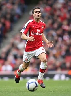 Arsenal v Birmingham City 2009-10 Collection: Cesc Fabregas (Arsenal)