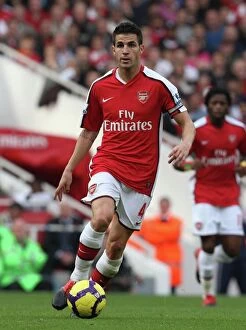 Arsenal v Tottenham 2009-10 Collection: Cesc Fabregas (Arsenal)