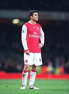 Images Dated 22nd January 2007: Cesc Fabregas (Arsenal)