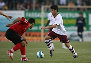 Cesc Fabregas (Arsenal)
