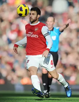 Cesc Fabregas (Arsenal). Arsenal 0: 1 Newcastle United, Barclays Premier League