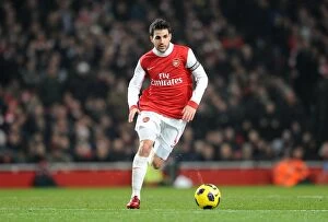 Images Dated 5th January 2011: Cesc Fabregas (Arsenal). Arsenal 0: 0 Manchester City. Barclays Premier League
