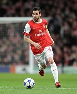Images Dated 16th February 2011: Cesc Fabregas (Arsenal). Arsenal 2: 1 Barcelona. UEFA Champions League. Round 16, 1st Leg