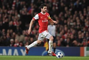 Images Dated 16th February 2011: Cesc Fabregas (Arsenal). Arsenal 2: 1 Barcelona, UEFA Champions League, Emirates Stadium