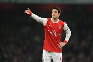Arsenal V Everton 2010-11 Prints: Cesc Fabregas (Arsenal). Arsenal 2: 1 Everton, Barclays Premier League, Emirates Stadium