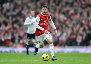 Images Dated 20th November 2010: Cesc Fabregas (Arsenal). Arsenal 2: 3 Tottenham Hotspur. Barclays Premier League