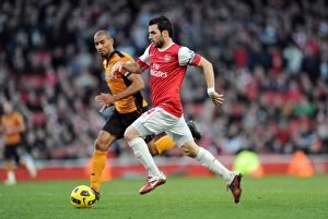 Images Dated 12th February 2011: Cesc Fabregas (Arsenal). Arsenal 2: 0 Wolverhampton Wanderers. Barclays Premier League