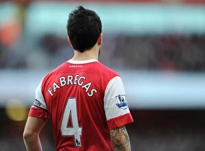 Images Dated 12th February 2011: Cesc Fabregas (Arsenal). Arsenal 2: 0 Wolverhampton Wanderers. Barclays Premier League