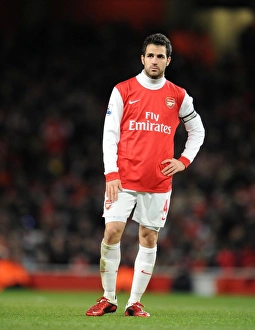 Images Dated 27th December 2010: Cesc Fabregas (Arsenal). Arsenal 3: 1 Chelsea. Barclays Premier League. Emirates Stadium