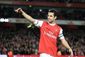 Images Dated 25th January 2011: Cesc Fabregas (Arsenal). Arsenal 3: 0 Ipswich Town. Carling Cup, semi final 2nd leg
