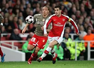 Arsenal v Standard Liege 2009-10 Collection: Cesc Fabregas (Arsenal) Axel Witsel (Liege)