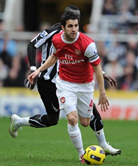 Cesc Fabregas (Arsenal) Cheik Tiote (Newcastle). Newcastle United 4:4 Arsenal Cesc Fabregas (Arsenal) Cheik Tiote (Newcastle). Newcastle United 4:4 Arsenal