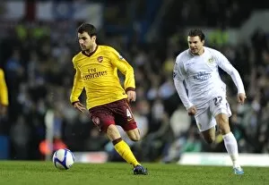 Leeds United v Arsenal FA Cup 2010-11 Collection: Cesc Fabregas (Arsenal) Davide Somma (Leeds). Leeds United 1: 3 Arsenal