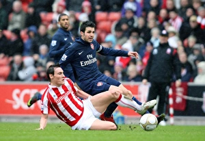 Stoke City v Arsenal - FA Cup 2009-10 Gallery: Cesc Fabregas (Arsenal) Dean Whitehead (Stoke). Stoke City 3: 1 Arsenal