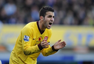 Everton V Arsenal 2010-11 Prints: Cesc Fabregas (Arsenal). Everton 1: 2 Arsenal, Barclays Premier League, Goodison Park