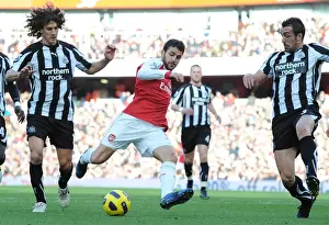 Arsenal V Newcastle United 2010-11 Prints: Cesc Fabregas (Arsenal) Fabricio Coloccini and Jose Enrique (Newcastle)