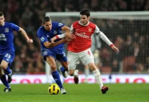 Cesc Fabregas (Arsenal) Jack Rodwell (Everton). Arsenal 2: 1 Everton. Barclays Premier League