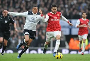 Images Dated 20th November 2010: Cesc Fabregas (Arsenal) Jermaine Jenas (Tottenham). Arsenal 2: 3 Tottenham Hotspur