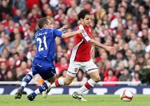 Arsenal v Everton 2008-9 Collection: Cesc Fabregas (Arsenal) Leon Osman (Everton)
