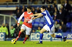 Images Dated 1st January 2011: Cesc Fabregas (Arsenal) Scott Dann (Birmingham). Birmingham City 0: 3 Arsenal