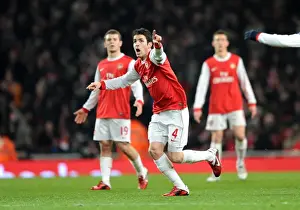 Cesc Fabregas (Arsenal) sees a replay of the controversial Everton goal on the big screen