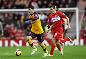 Middlesbrough v Arsenal 2008-09 Collection: Cesc Fabregas (Arsenal) Stewart Downing (Middlesbrough)