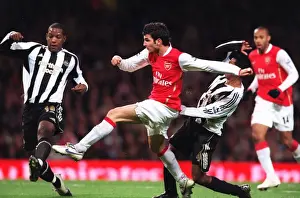 Cesc Fabregas (Arsenal) Titus Bramble and Nolberto Solano (Newcastle)