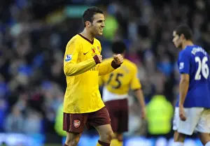 Everton V Arsenal 2010-11 Prints: Cesc Fabregas: Arsenal's Leader in 1-2 Victory over Everton (14/11/2010)