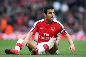 Cesc Fabregas Brilliant Performance: Arsenal's 3-1 Barclays Premier League Victory over Birmingham City (17/10/09)