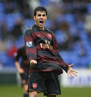 Images Dated 31st March 2008: Cesc Fabregas celebrate Arsenals victory at the final whistle