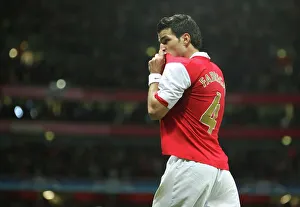 Arsenal v Sevilla 2007-08 Gallery: Cesc Fabregas celebrates the 1st Arsenal goal