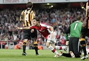 Arsenal v Hull City 2008-9 Collection: Cesc Fabregas celebrates Arsenals goal