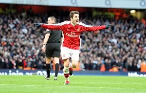 Arsenal v Aston Villa 2009-10 Collection: Cesc Fabregas celebrates scoring the 1st Arsenal goal. Arsenal 3: 0 Aston Villa