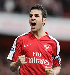 Arsenal V Sunderland 2009-10 Prints: Cesc Fabregas celebrates scoring the 2nd Arsenal goal. Arsenal 2: 0 Sunderland