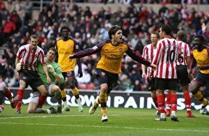 Sunderland v Arsenal 2008-9 Gallery: Cesc Fabregas celebrates scoring the Arsenal goal