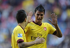 Sunderland v Arsenal 2010-11 Collection: Cesc Fabregas celebrates scoring the Arsenal goal with Marouane Chamakh
