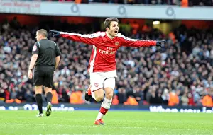 Cesc Fabregas Euphoric Moment: Arsenal's First Goal Against Aston Villa (3-0), Barclays Premier League, 2009