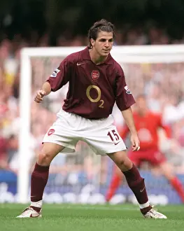 Cesc Fabregas: Leading Arsenal Against Chelsea at Stamford Bridge, FA Premier League, 2005