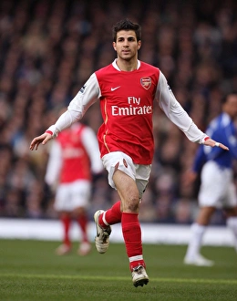 Everton v Arsenal 2006-7 Art Prints, Posters & Puzzles