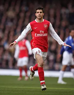 Cesc Fabregas: Leading Arsenal to Victory at Goodison Park, 18/3/2007