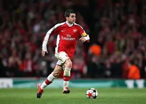 Arsenal V Standard Liege 2009-10 Prints: Cesc Fabregas Leads Arsenal to 2-0 Victory over Standard Liege in Champions League Group H