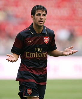 Arsenal 2:1 Lazio at Amsterdam ArenA, August 2007. Art